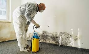 Best Mold Remediation for Vacation Homes  in Marin City, CA